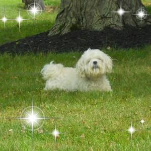 Meet your Posher, Michele